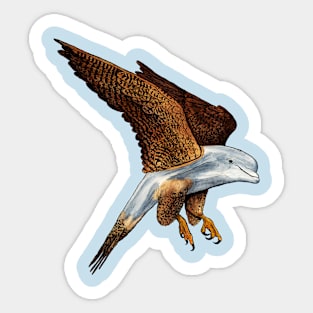 Peregrine Dolphin Sticker